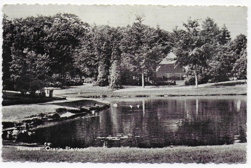 Nunspeet Oranjeplantsoen oude gelopen Ansichtkaart ( B3028), Ophalen of Verzenden, 1960 tot 1980, Gelopen, Gelderland