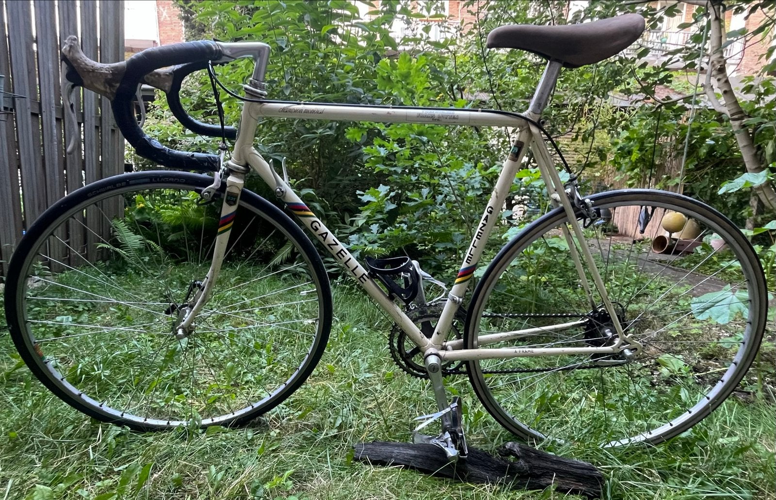 Gazelle Champion Mondial A-frame racefiets, Ophalen, 28 inch, Gebruikt, Velgrem