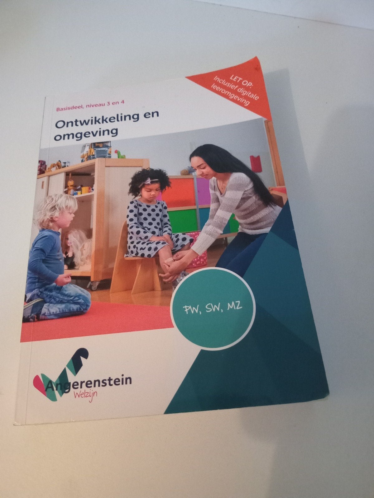 Angerenstein Welzijn: Ontwikkeling en omgeving (Niveau 3/4), Boeken, Schoolboeken, Ophalen of Verzenden, Gelezen, Overige niveaus