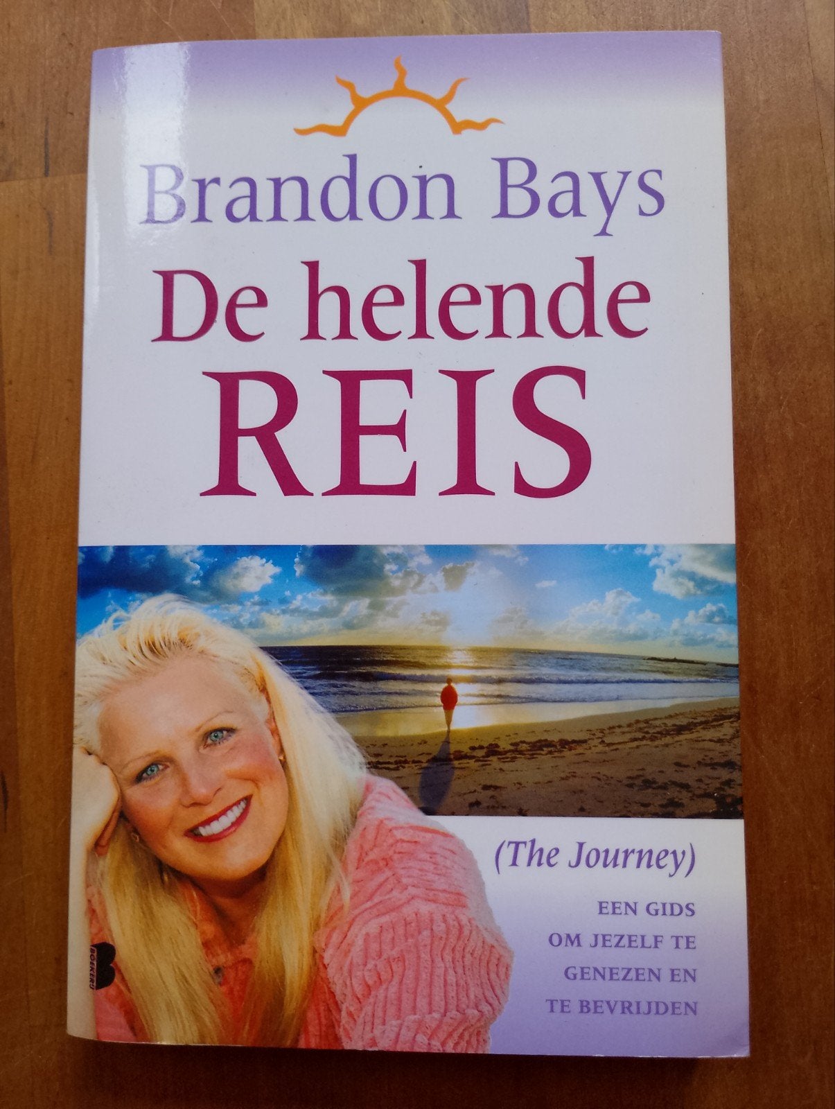 De Helende Reis, Boeken, Verzenden, Zo goed als nieuw, Gezondheid en Conditie, Brandon Bays
