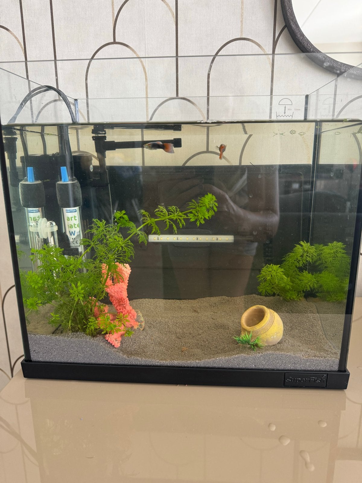 Aquarium en 2 guppies, Dieren en Toebehoren, Verlichting of Verwarming, Ophalen of Verzenden, Zo goed als nieuw, Superfish
