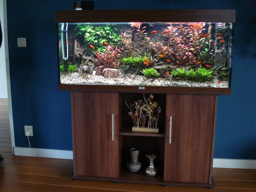 Aquarium Juwel RIO 240, Gebruikt, Leeg aquarium, Juwel, Ophalen
