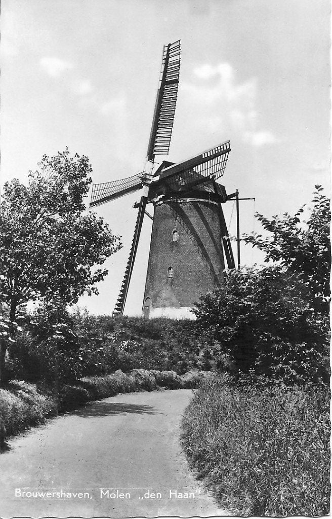 Oude Ansichtkaart Brouwershaven Molen "den Haan", Ophalen of Verzenden, 1960 tot 1980, Ongelopen, Zeeland