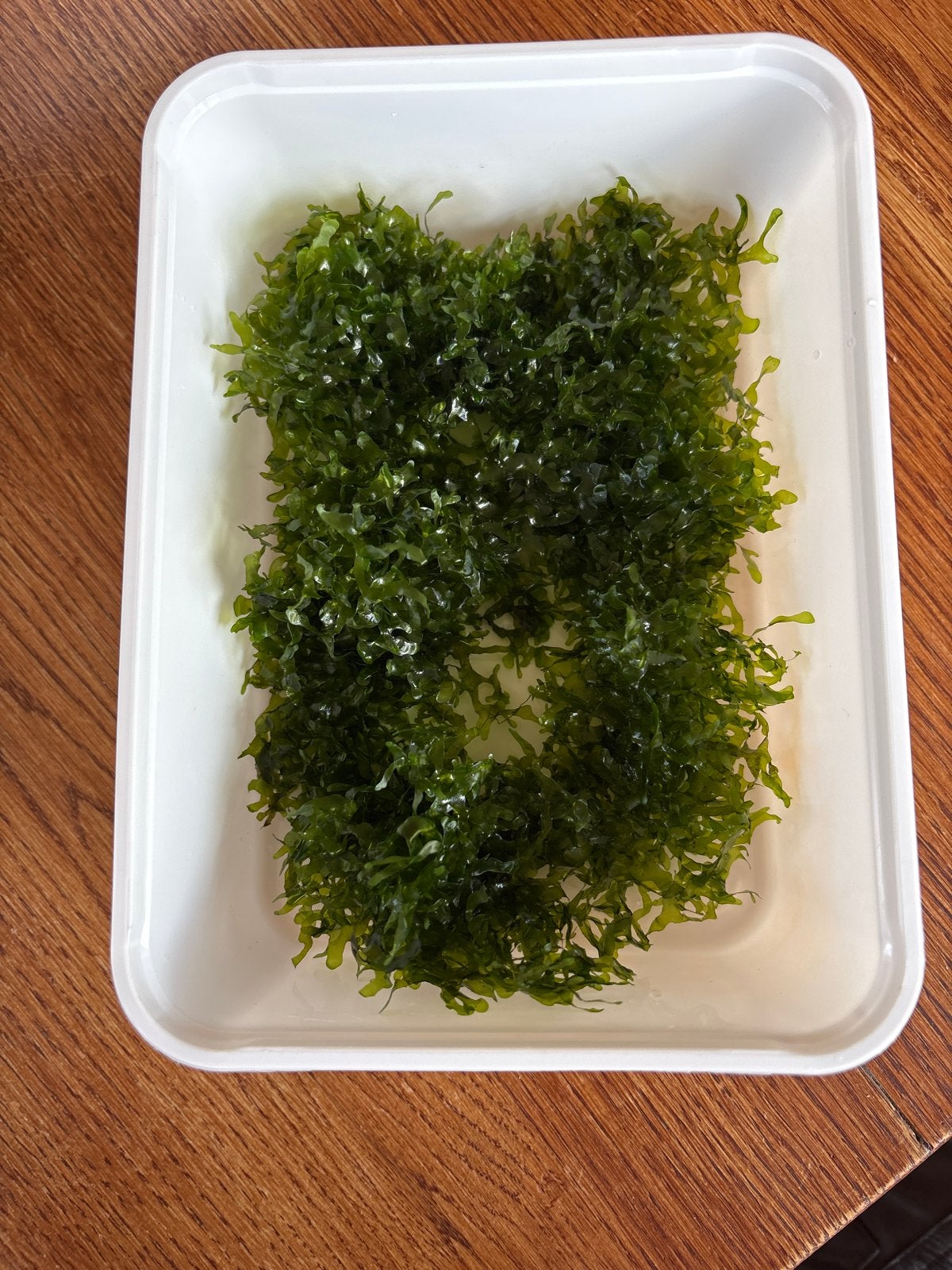 Prachtig Süsswassertang (Levermos) – Ideaal voor garnalen, Dieren en Toebehoren, Ophalen of Verzenden, Nieuw, Plant(en), Steen of Hout