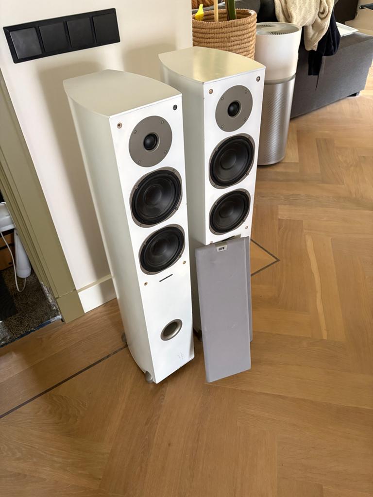Life luidspreker torens, Audio, Tv en Foto, Luidsprekers, Gebruikt, 120 watt of meer, Front, Rear of Stereo speakers, Ophalen