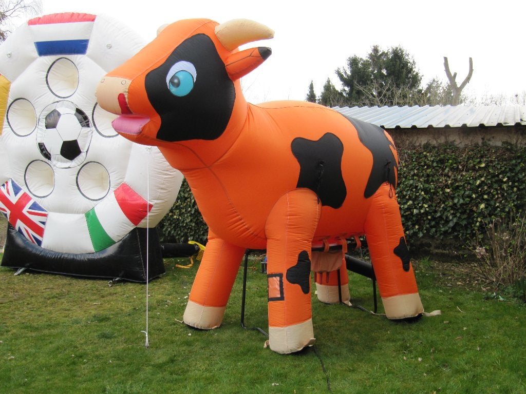 ranjakoe limonade koe te huur verhuur, Ophalen, Nieuw, Abraham of Sarah