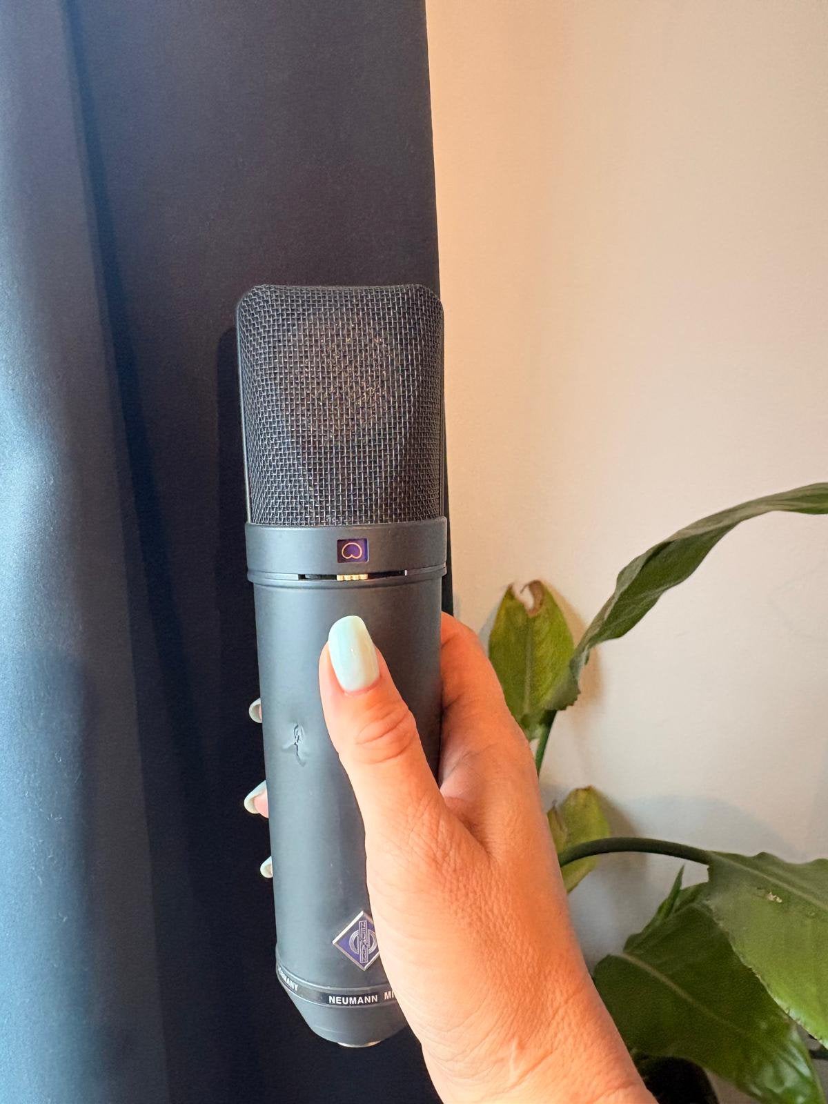 Neumann U 87 Ai Black Edition + EA 87 + houten koffer, Muziek en Instrumenten, Ophalen of Verzenden, Zo goed als nieuw, Studiomicrofoon