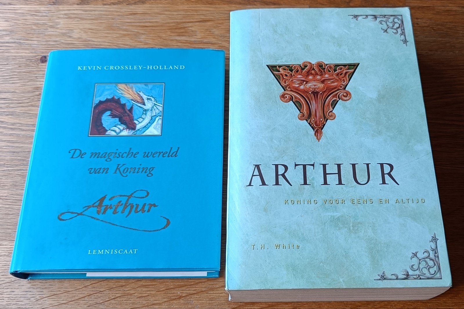 Koning Arthur boeken: De magische wereld & Koning voor eens, Ophalen of Verzenden, Gelezen