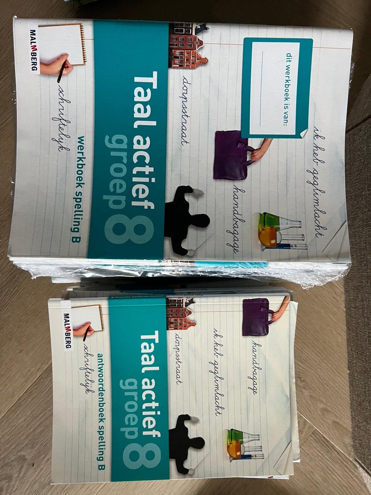 Taal actief spelling en taal, Boeken, Schoolboeken, Nieuw, Nederlands, Overige niveaus, Ophalen of Verzenden