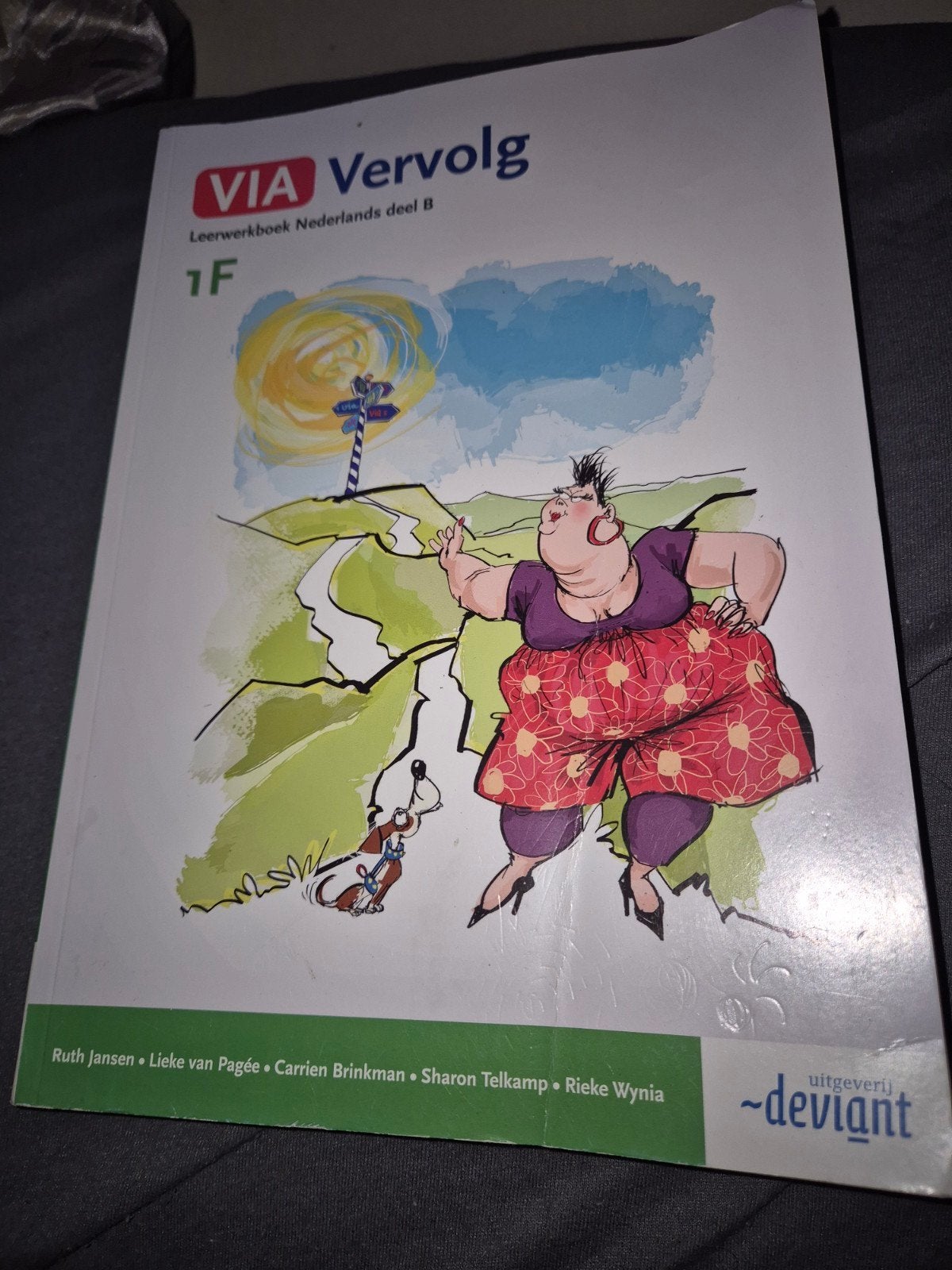 VIA Vervolg Leerwerkboek Nederlands deel B 1F, VMBO, Ophalen of Verzenden, Zo goed als nieuw, Ruth Jansen, Carrien Brinkman, Sharon Telkamp, Rieke Wynia