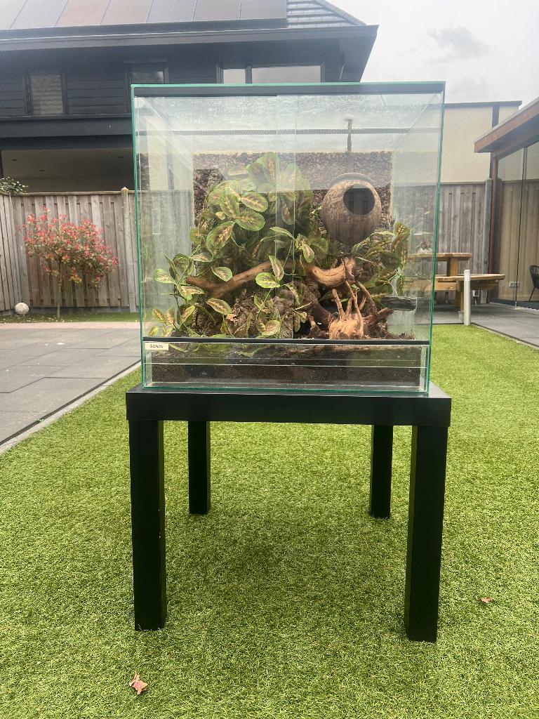 Terrarium, Dieren en Toebehoren, Reptielen en Amfibieën | Toebehoren, Ophalen, Zo goed als nieuw, Terrarium of Paludarium