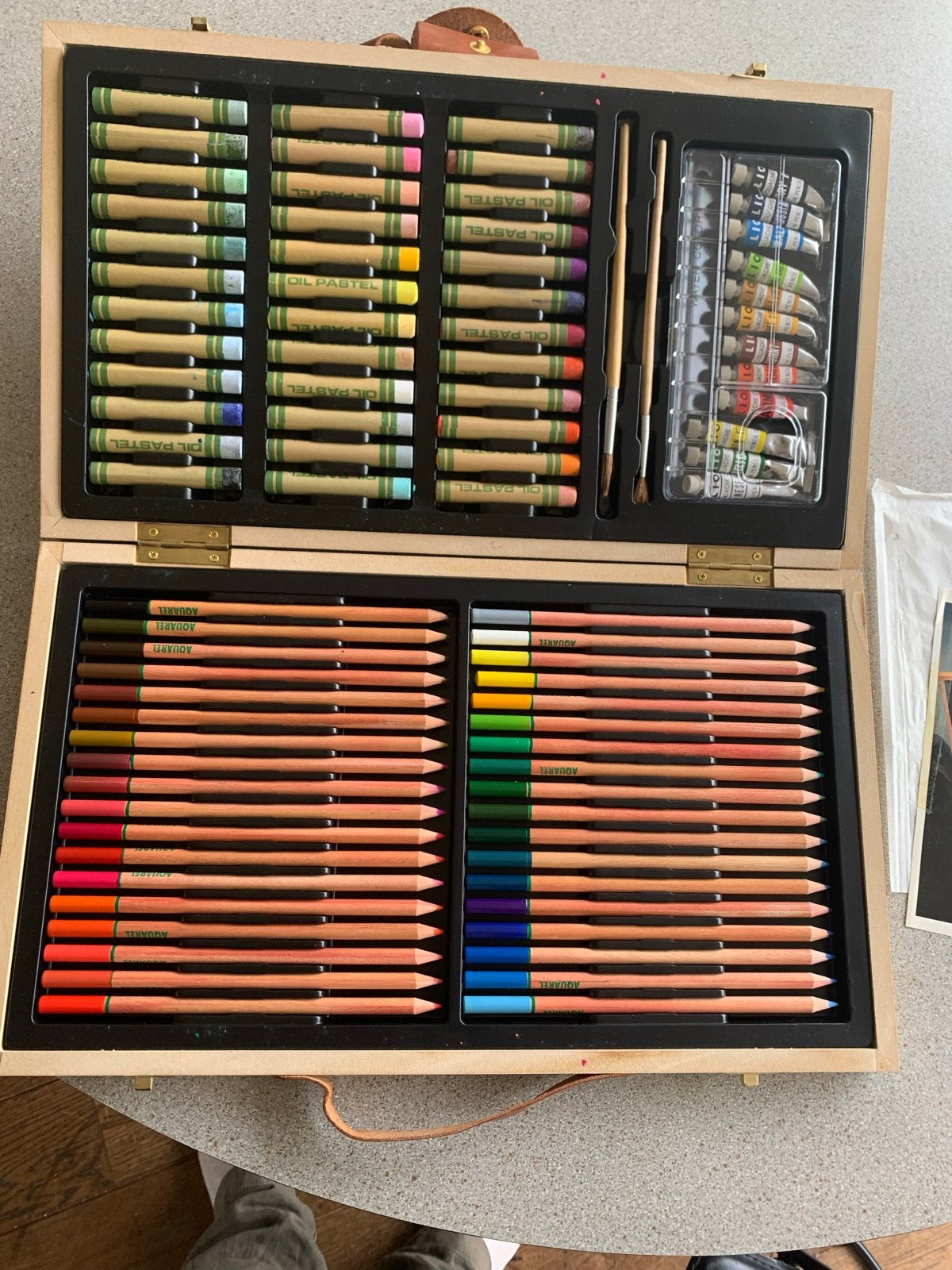 Nieuwe Tekendoos met Aquarelpotloden, Oliepastels en Verf, Ophalen of Verzenden, Nieuw, Waterverf