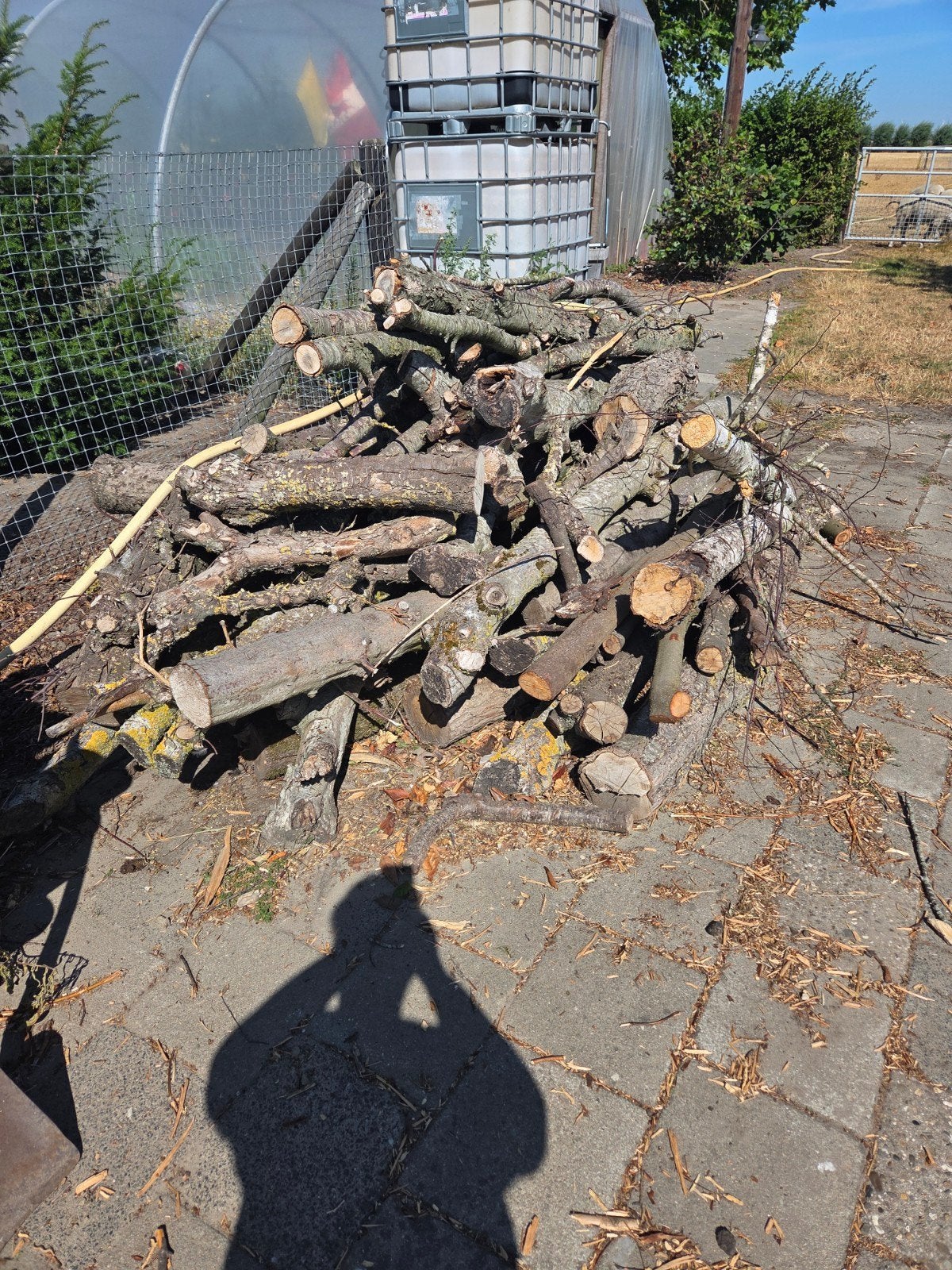 Ongezaagd kachelhout diverse houtsoorten (ca. 2m³, Tuin en Terras, Haardhout, Minder dan 3 m³, Ophalen