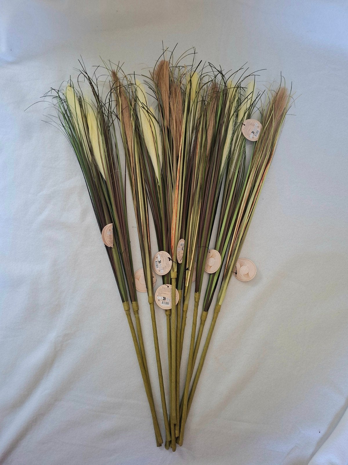 10x Decoratieve Pampasgras Pluimen - Excellent Flowers, Meerkleurig, Nieuw, Natuurlijk materiaal, Modern