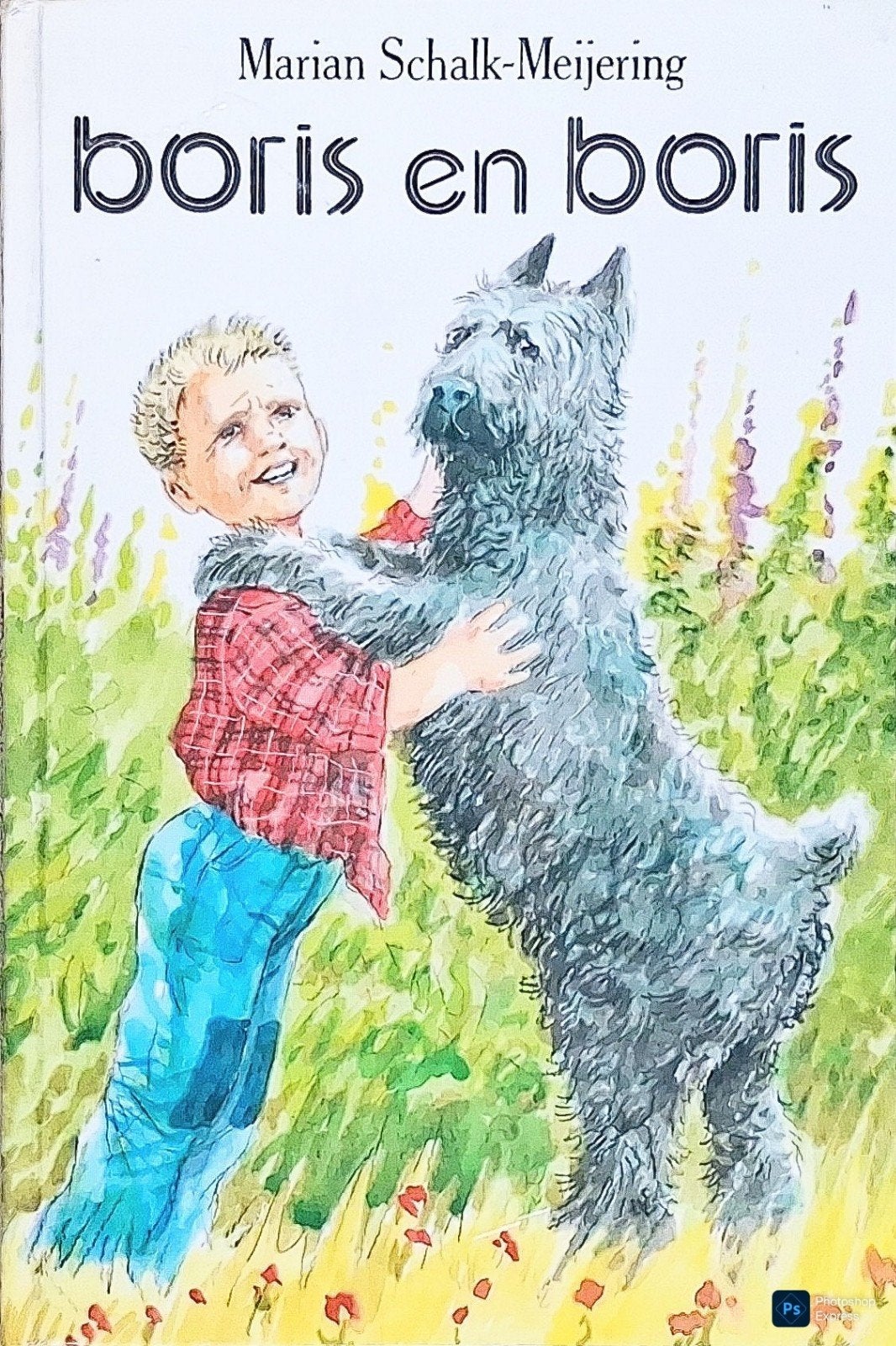 Boris En Boris, Gelezen, Fictie algemeen, Ophalen of Verzenden, Marian Schalk-Meijering.