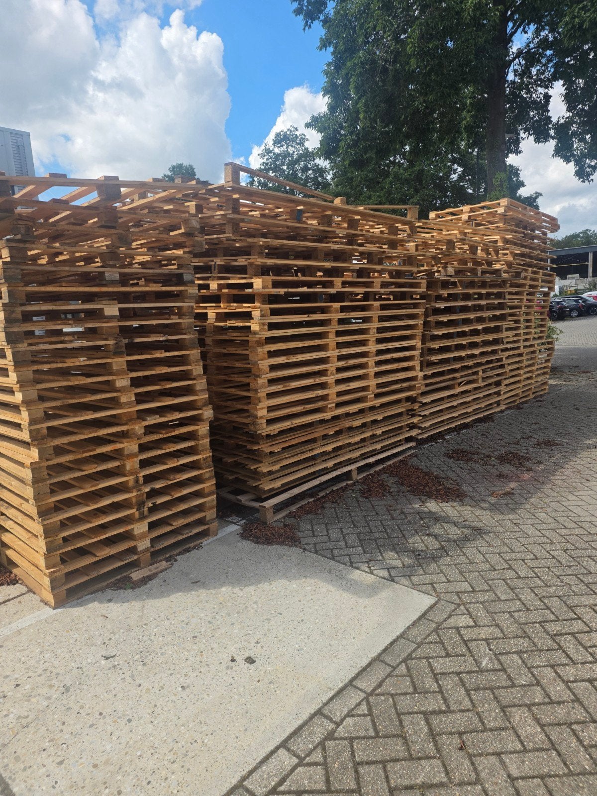 GRATIS PALLETS, Tuin en Terras, Haardhout, Minder dan 3 m³, Ophalen