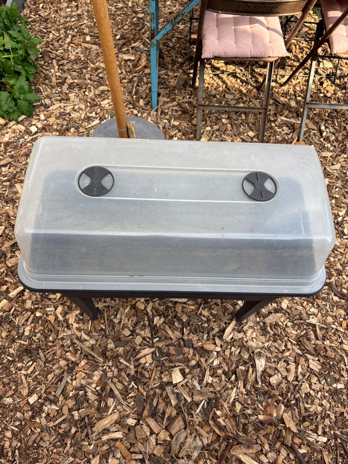 Kweekbak met deksel voor planten en zaailingen, Tuin en Terras, Ophalen, Gebruikt, Kweekbak