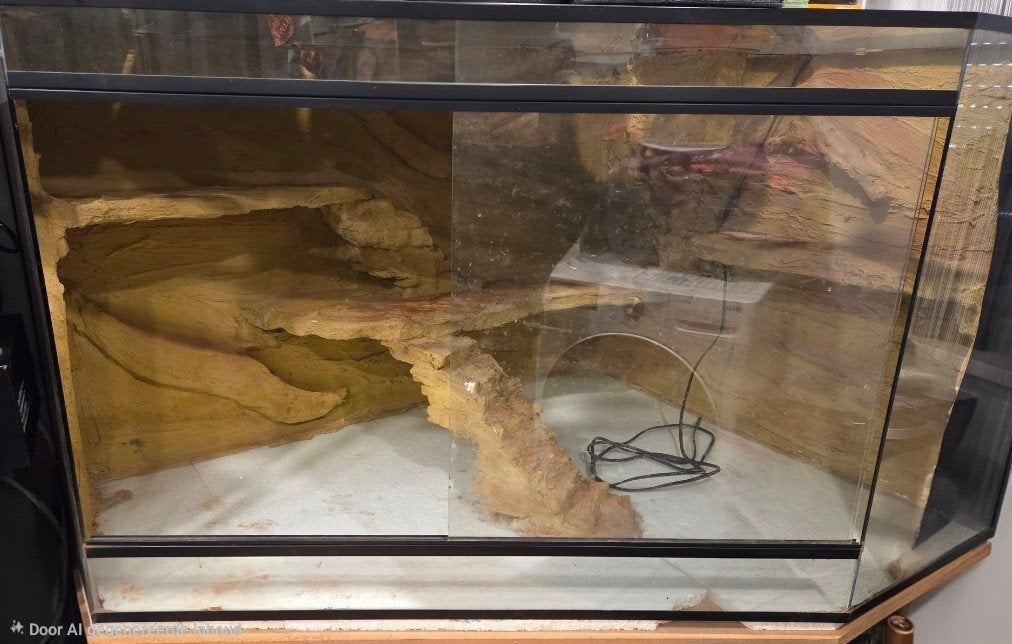 Hoek terrarium, Dieren en Toebehoren, Ophalen