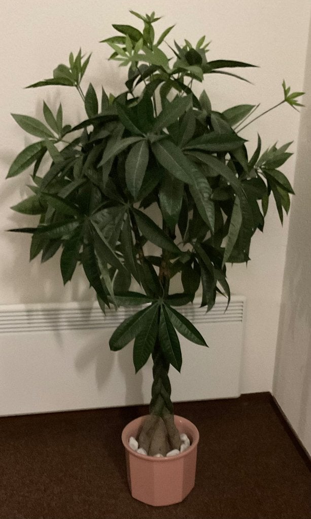 Kunstplant met pot, hoogte 120 cm, Ophalen, Groen, Met pot of vaas, Kunstplant