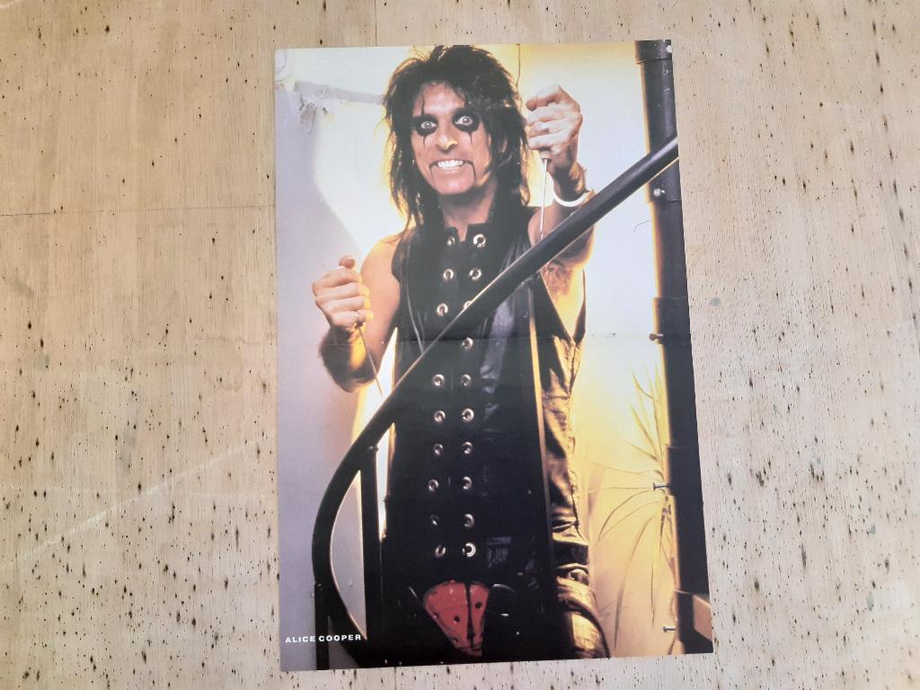 Poster Alice Cooper Formaat A3 26x40 cm André Agassi, Rechthoekig Staand, Ophalen of Verzenden, Zo goed als nieuw, A1 t/m A3