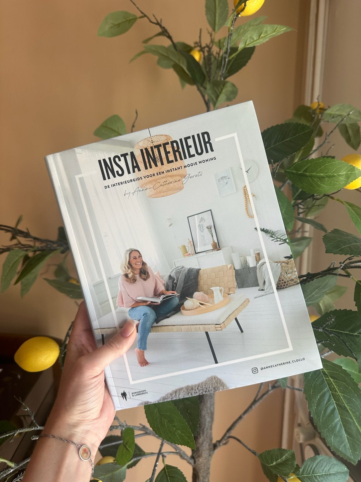 INSTA INTERIEUR: De interieurgids voor een instant mooie won, Ophalen of Verzenden, Zo goed als nieuw, Interieur en Design