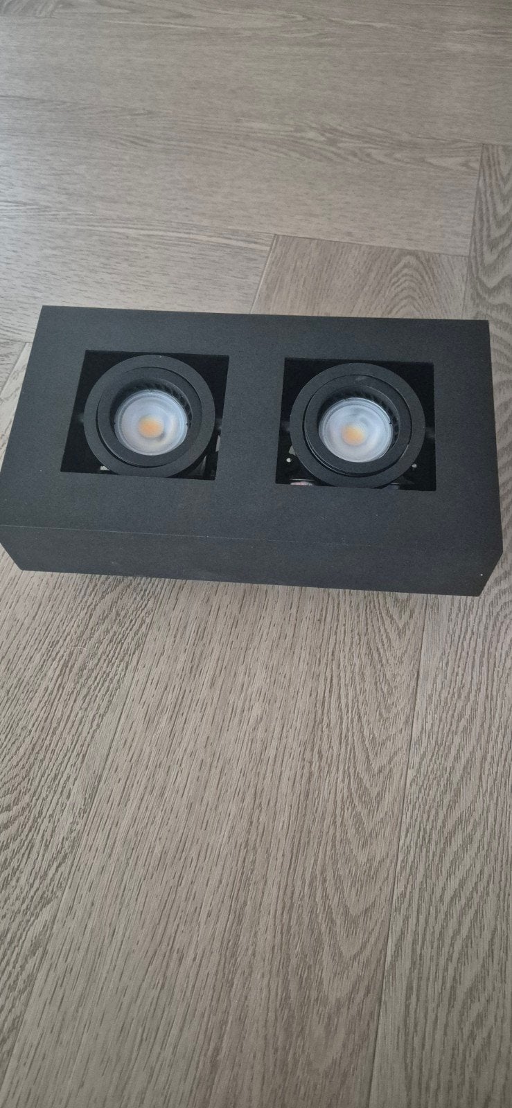 Zwarte plafond lamp met twee LED-lichtbronnen, Ophalen, Gebruikt, LED, Geschikt voor plafondmontage