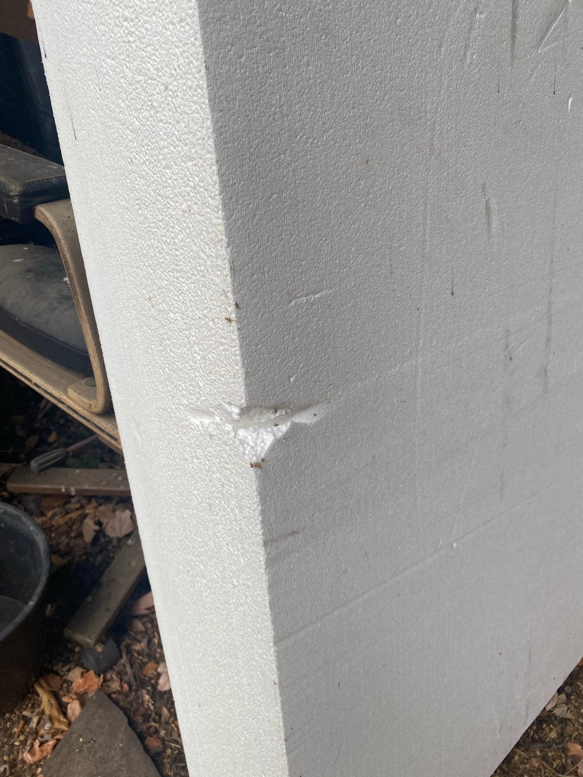 Grote plaat piepschuim isolatie, Doe-het-zelf en Verbouw, Isolatie en Afdichting, Ophalen, Gebruikt, 15 m² of meer, Vloerisolatie