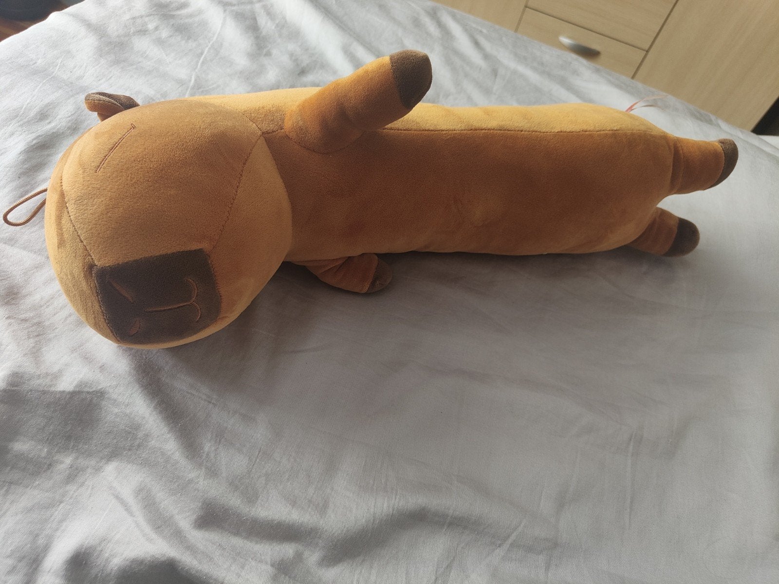 Nieuwe Capibara Knuffel 53 cm - Berentoys, Overige typen, Nieuw, Ophalen of Verzenden, Middelgroot (20 tot 80 cm)