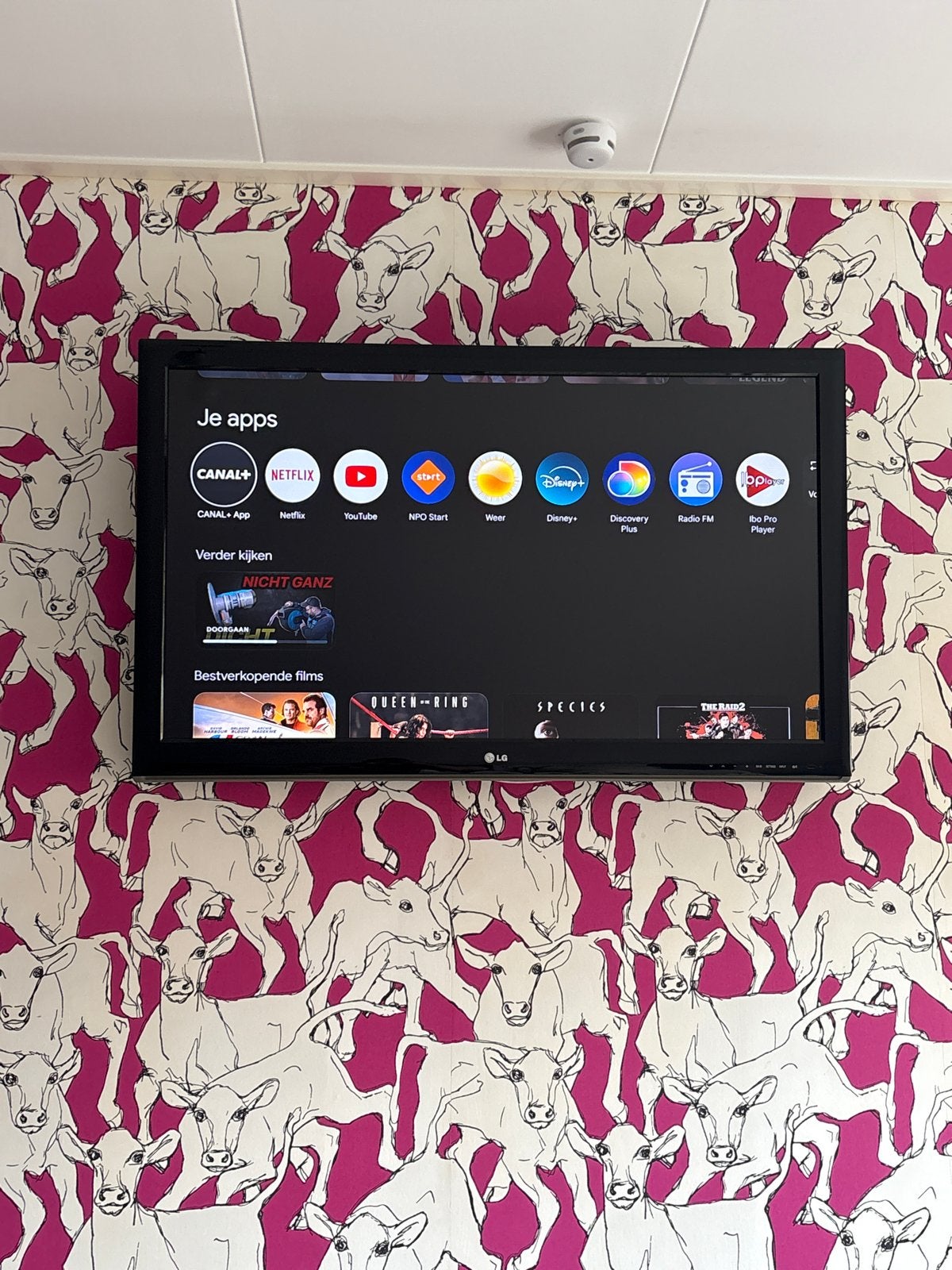 LG TV 43 inch, 50 Hz, LG, Full HD (1080p), Gebruikt