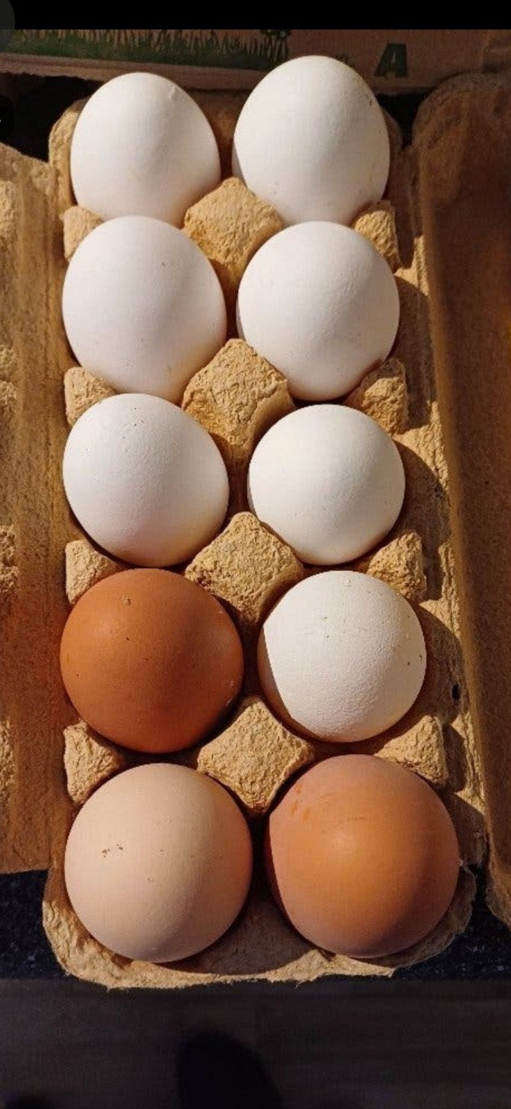 eieren, Ophalen of Verzenden, Overige typen