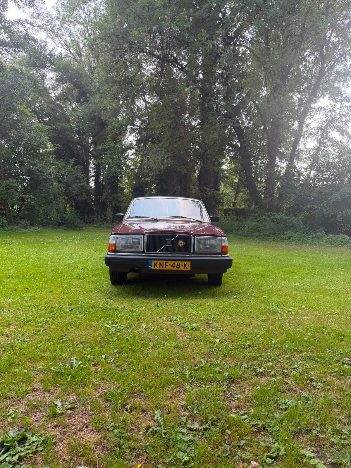 Volvo 244 diesel 1984 bordeaux Rood belastingvrij, foto 3