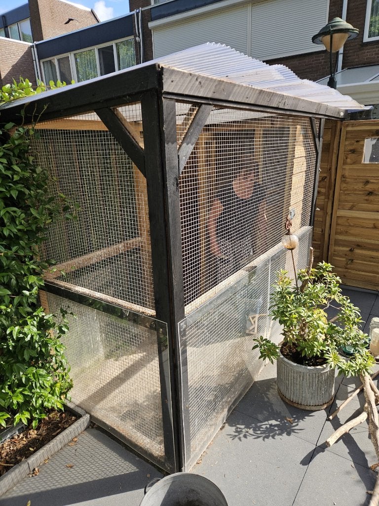 mooie volière van het merk voldux voor maar 750 euro, Ophalen, Zo goed als nieuw, Hout, Vogelkooi