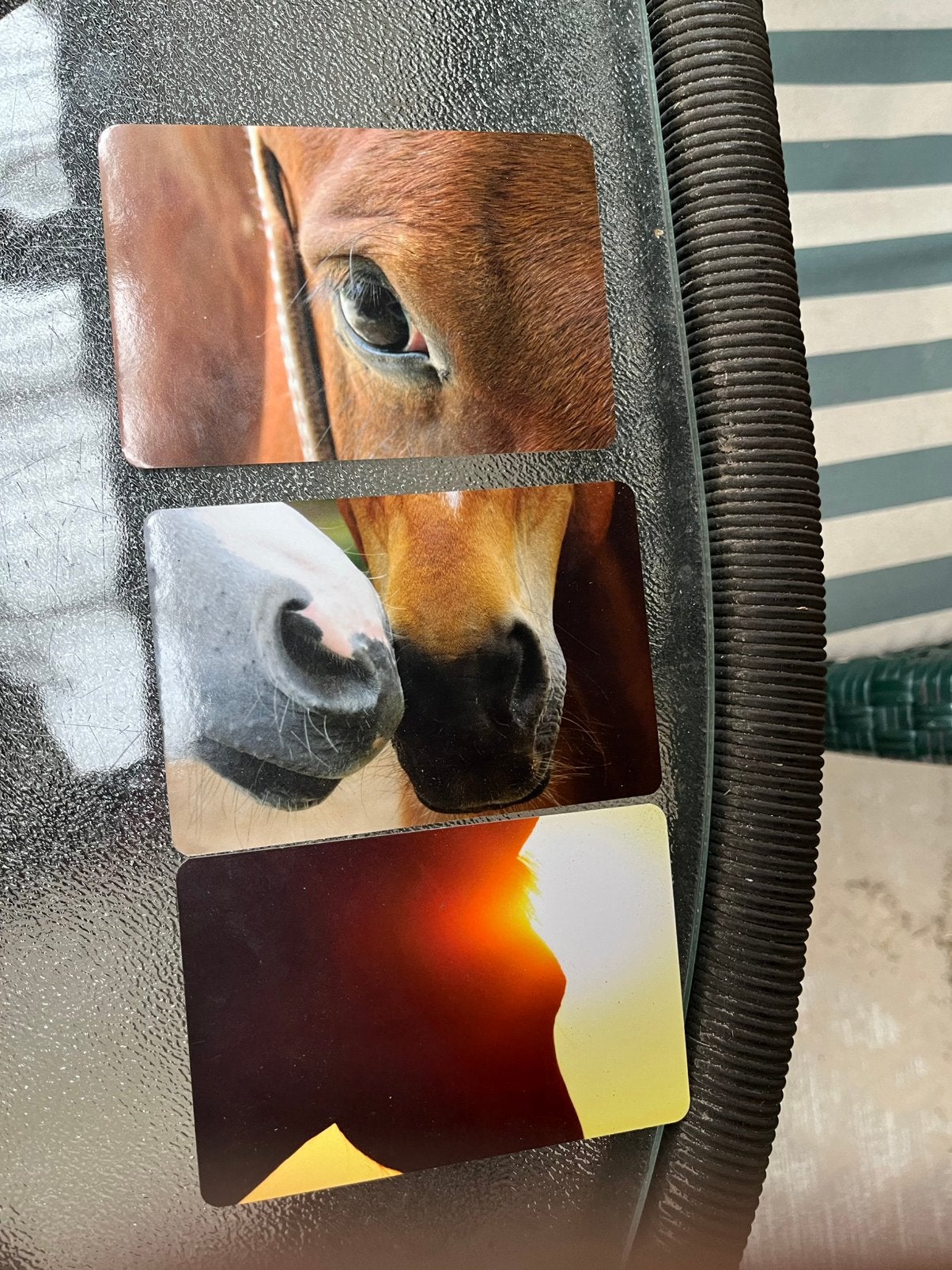 Equine coaching/ paardencoaching