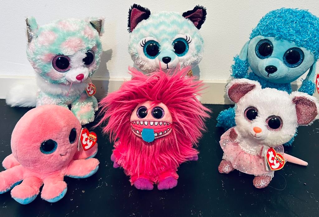 Ty the beanie boo’s collection 6 stuks nieuwstaat, Overige karakters, Overige typen, Ophalen of Verzenden, Zo goed als nieuw