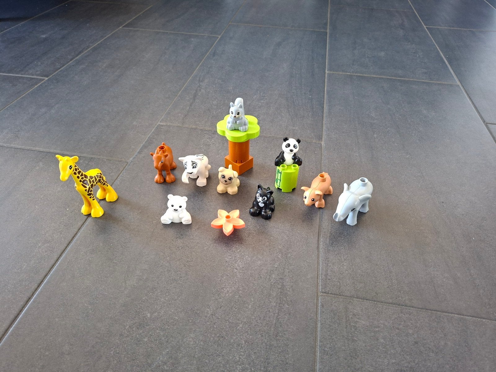 Duplo babydieren set - giraffe, panda, eekhoorn en meer!, Ophalen of Verzenden, Gebruikt, Minifiguur, Duplo