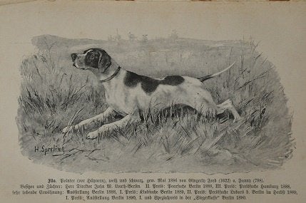 Der Jagdhund honden jachthonden Frans Krichler o.a. fok 1894, Boeken, Gelezen, Honden, Ophalen of Verzenden, Frans Krichler
