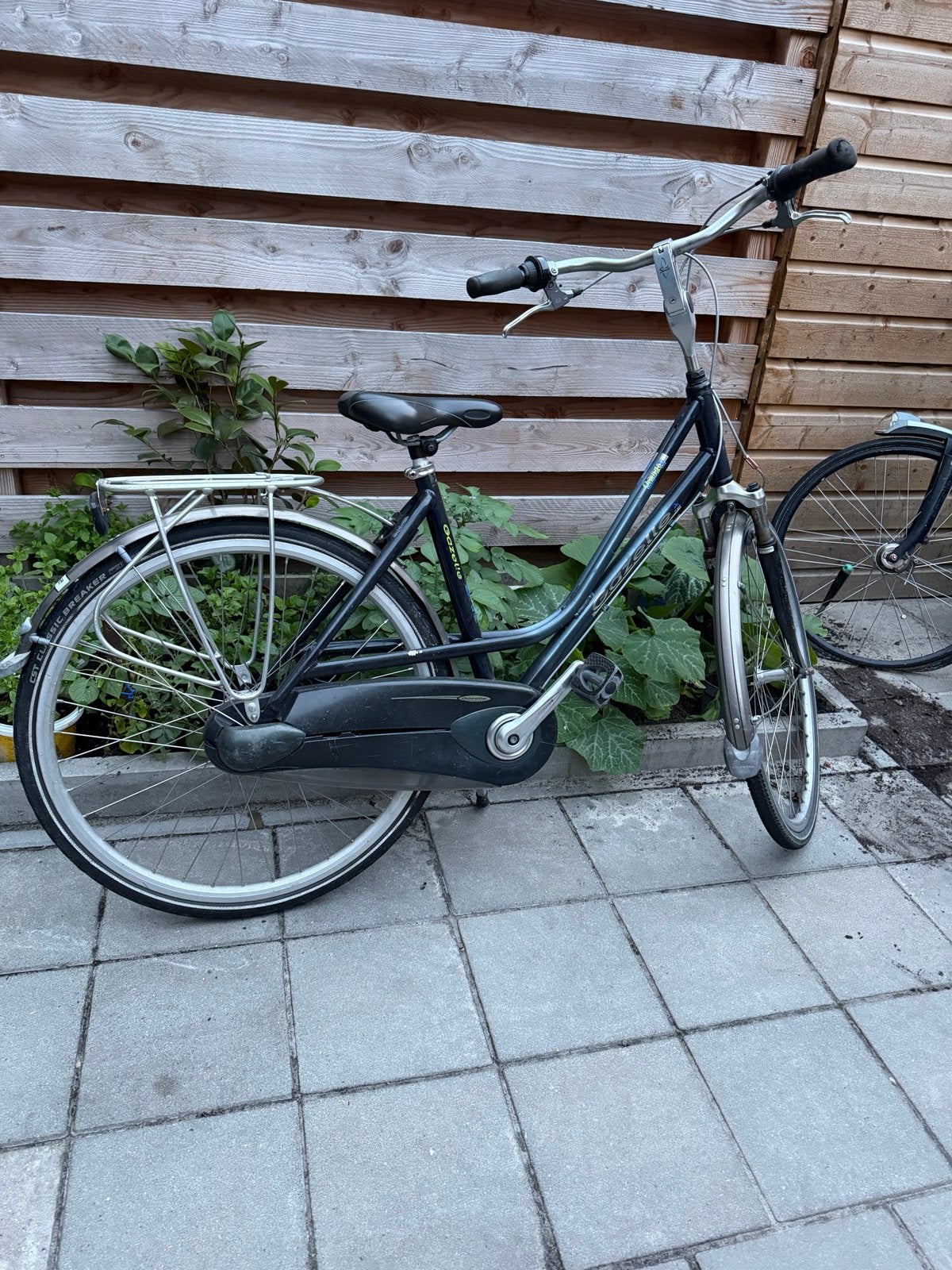 Gazelle damesfiets met lage instap, Terugtraprem, Ophalen of Verzenden, 50 tot 53 cm, Gazelle