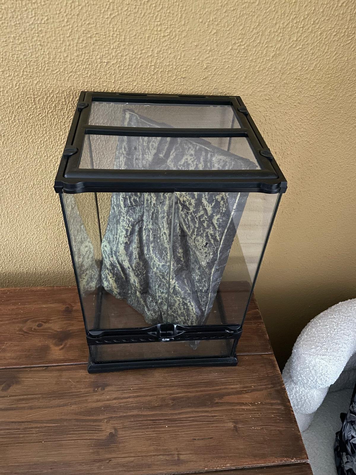 Exoterra met losse achtergrond, Dieren en Toebehoren, Reptielen en Amfibieën | Toebehoren, Ophalen, Zo goed als nieuw, Terrarium of Paludarium