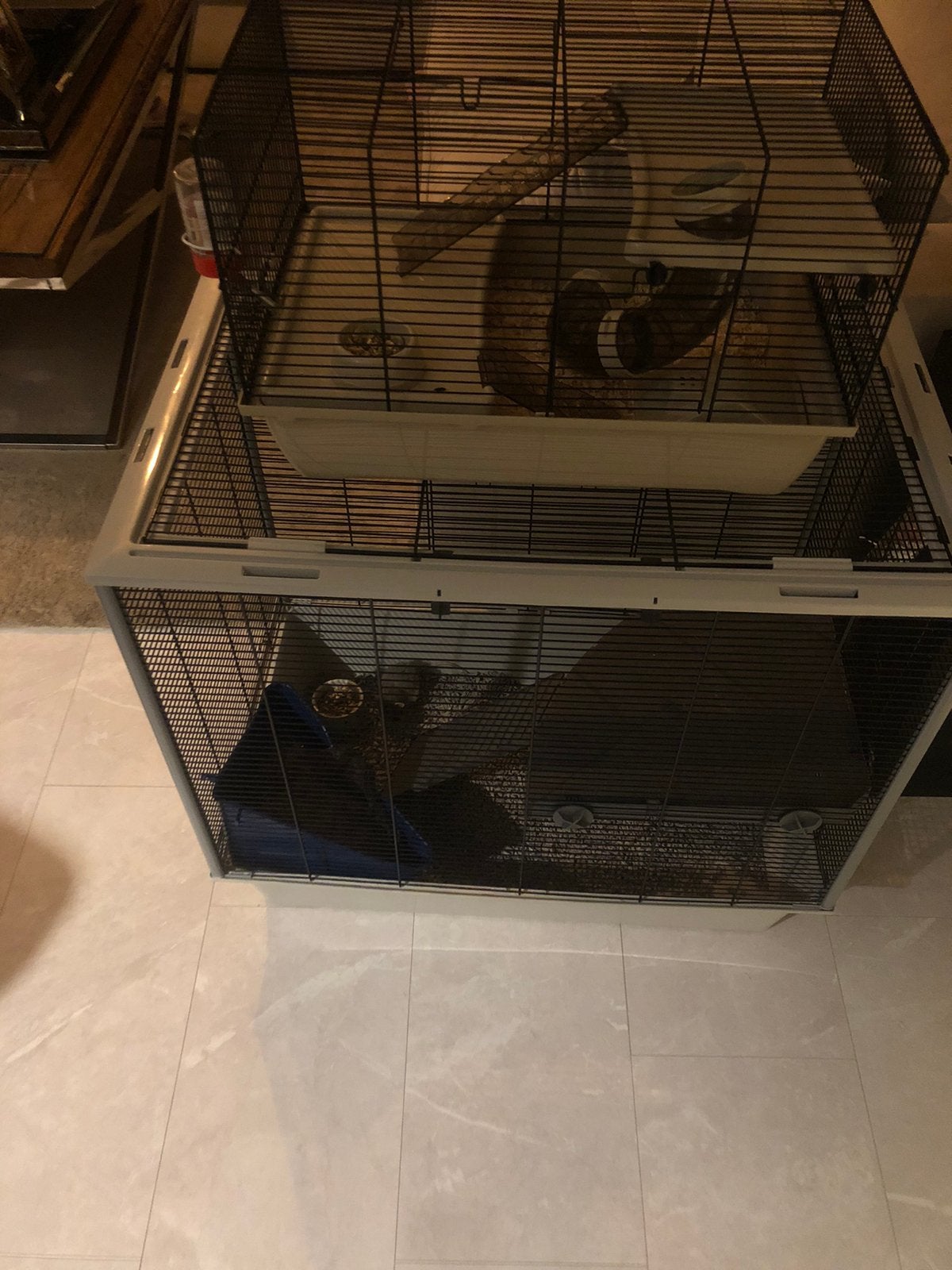 Gratis af te halen tamme rat ratjes ratten hamster kooi, Dieren en Toebehoren, Ophalen of Verzenden, Zo goed als nieuw, 75 tot 110 cm