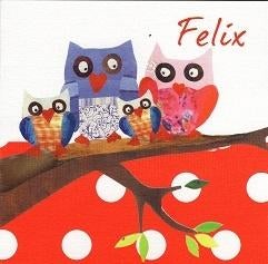 Felix, Ophalen of Verzenden, 2000 tot heden, Geboortekaartje