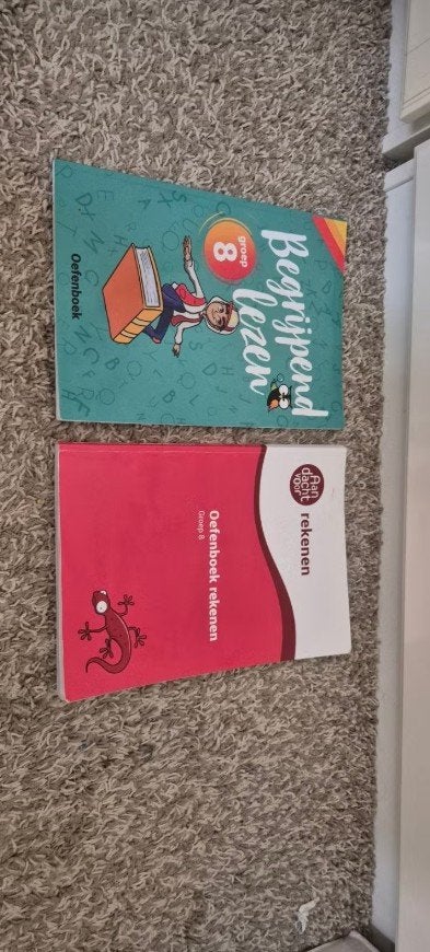 Oefenboeken Begrijpend Lezen en Rekenen Groep 8, Boeken, Schoolboeken, Ophalen, Zo goed als nieuw, Overige niveaus, Nederlands