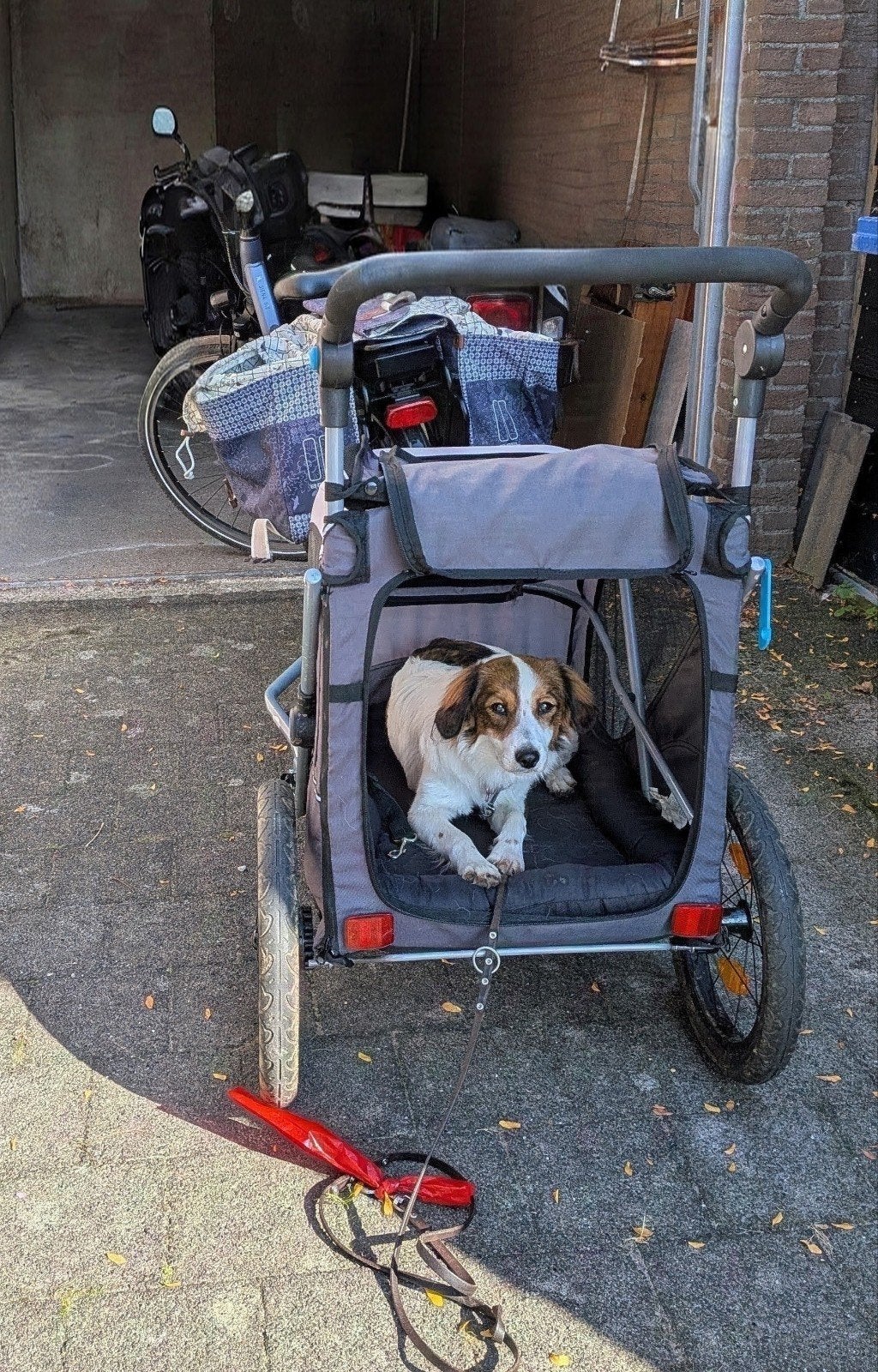 Trixie opvouwbare honden fietskar, Trixie, Ophalen, Zo goed als nieuw, Hondenfietskar
