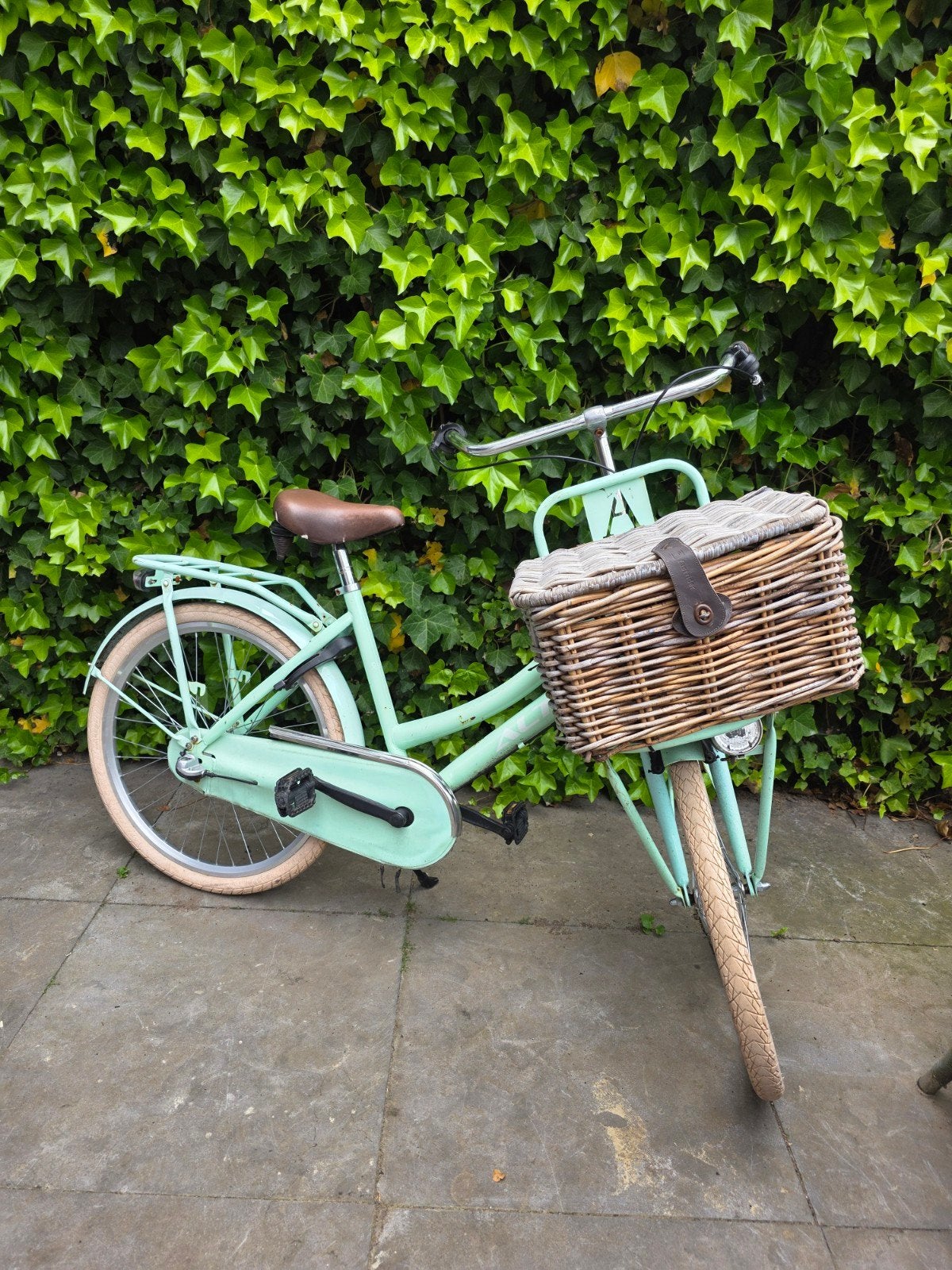 Altec Dutch kinderfiets - Mintgroen met fietsmand, Ophalen, Altec, Gebruikt, Terugtraprem