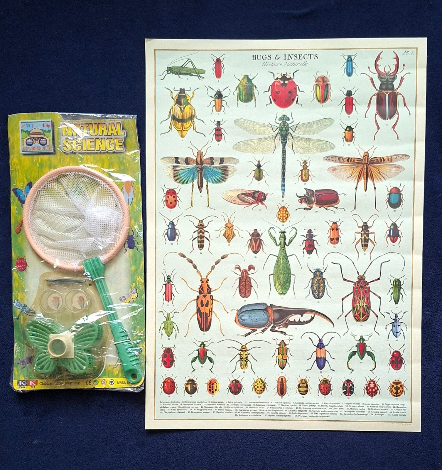Nature science explorer kit met insectenposter, Ophalen of Verzenden, Nieuw, Ontdekken