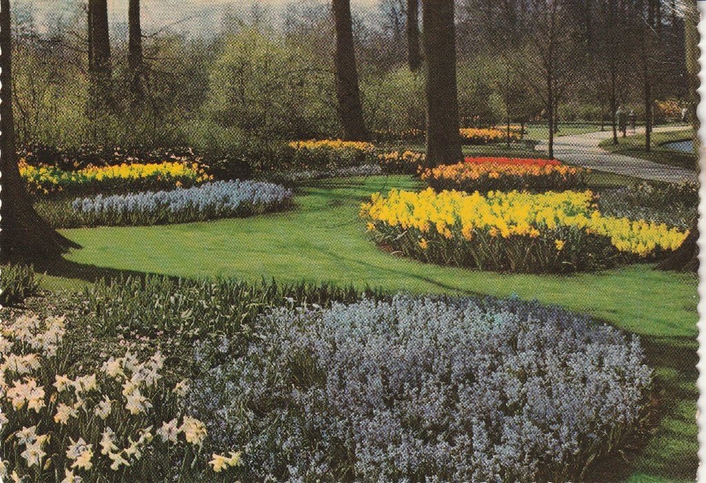 Floriade Rotterdam 1960, Ophalen of Verzenden, 1960 tot 1980, Gelopen, Zuid-Holland