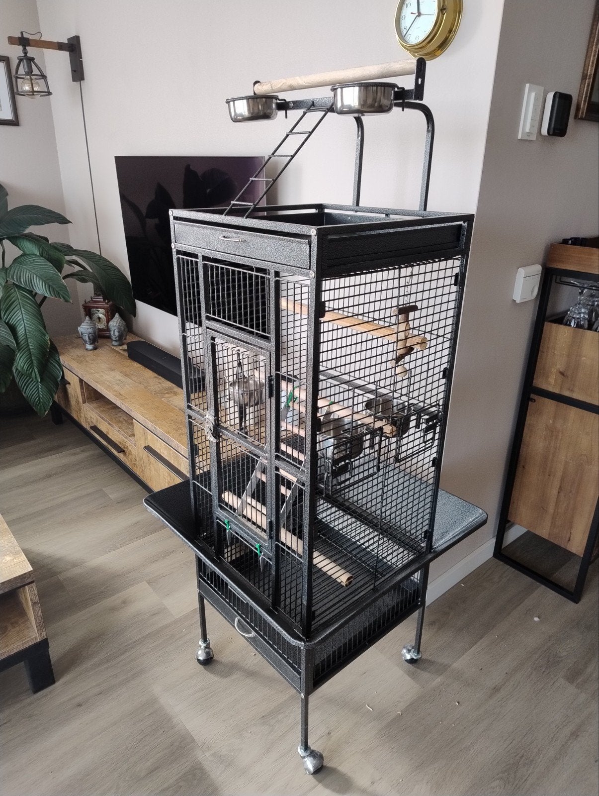 valkparkieten parkieten papegaaien kooi, Ophalen of Verzenden, Zo goed als nieuw, Metaal, Vogelkooi
