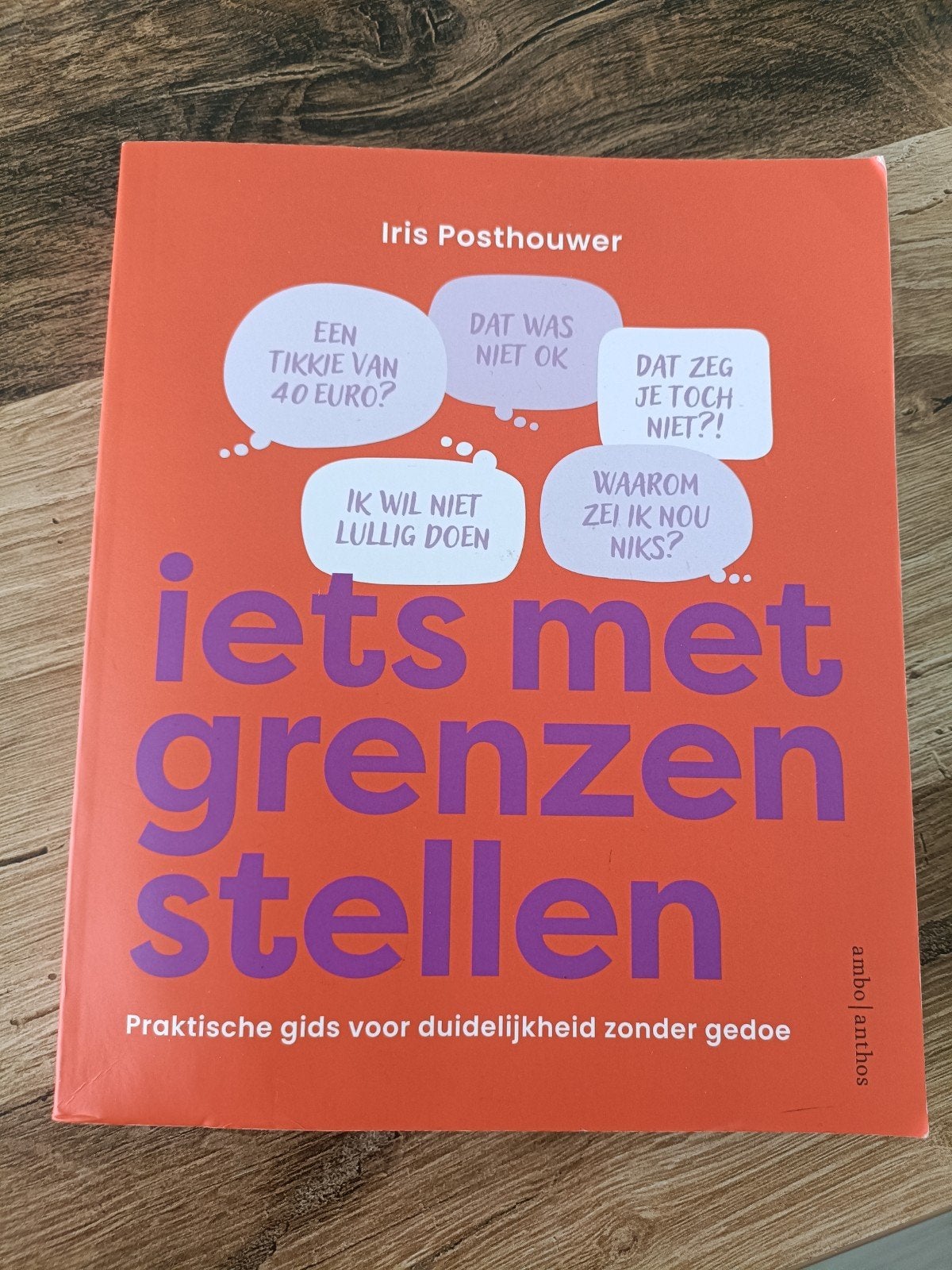 Iris Posthouwer - Iets met grenzen stellen, Boeken, Psychologie, Zo goed als nieuw, Ontwikkelingspsychologie, Ophalen of Verzenden