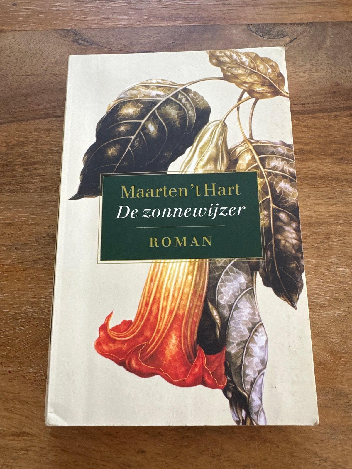 Maarten 't Hart - De zonnewijzer (Roman), Boeken, Ophalen of Verzenden, Gelezen, Nederland