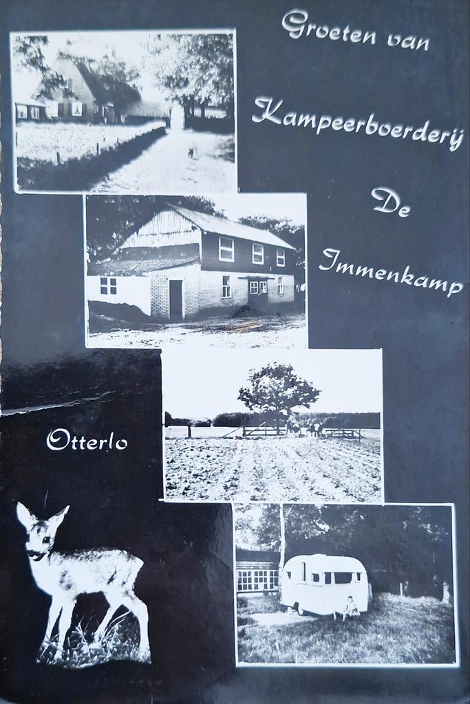 Fotokaart Otterlo - Kampeerboerderij "De Immenkamp", Ophalen of Verzenden, Gelopen, Gelderland