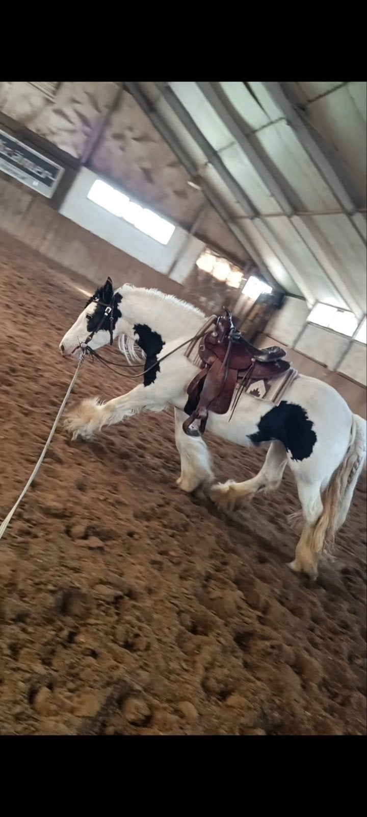 Lieve 4 jarige tinker merrie, Dieren en Toebehoren, Paarden, Merrie, Minder dan 160 cm, Met stamboom, 3 tot 6 jaar